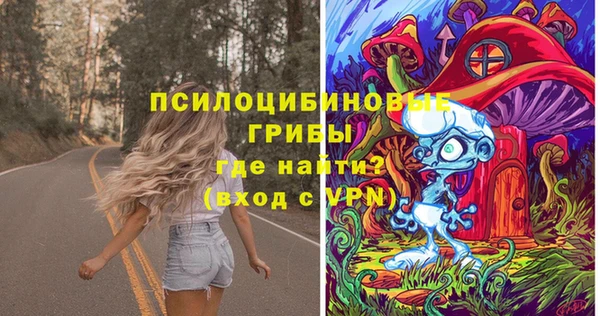 PSILOCYBIN Арсеньев