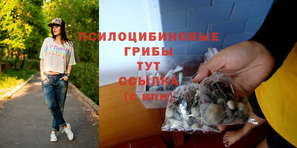 PSILOCYBIN Арсеньев
