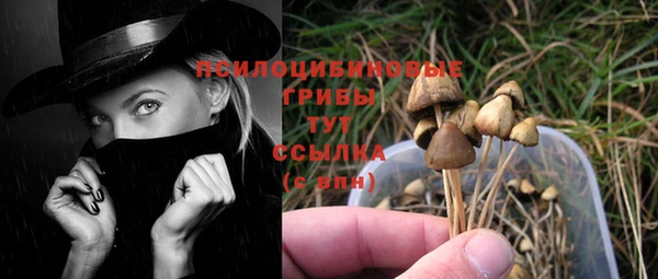 PSILOCYBIN Арсеньев